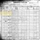 1900 US Census, TX, Wise Co., Pct. 8 - James W. Walker Family [1797]