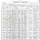 1900 US Census, MI, Barry Co., Irving Twp. - Dewitt C. Quigley Family [5174]