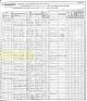 1865 New York Census, Chemung Co., Catlin Twp. - Thomas Quigley Family [5388]