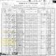 1900 US Census, TN, Wayne Co., Dist. 1 - James, Tim & Hard Walker Families [6182]